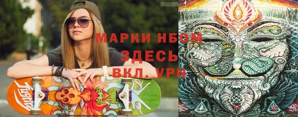 молекула духа Арсеньев
