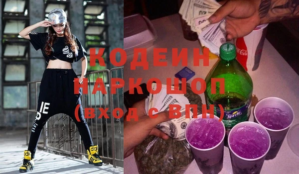молекула духа Арсеньев