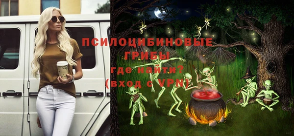 ECSTASY Алзамай