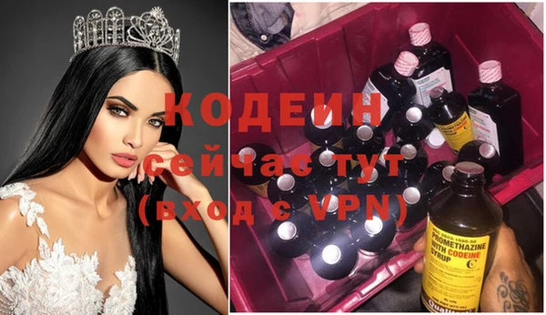 молекула духа Арсеньев