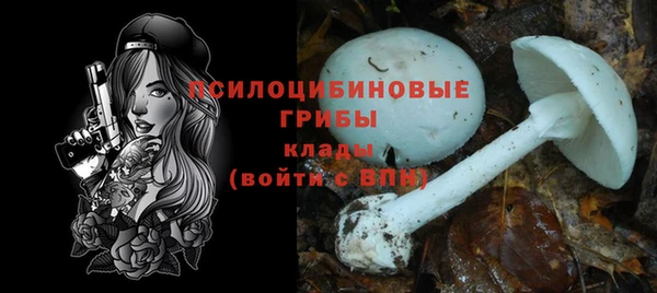 гашик Армянск