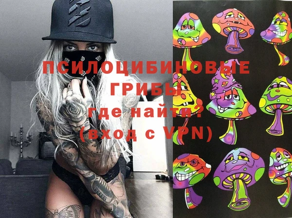 молекула духа Арсеньев