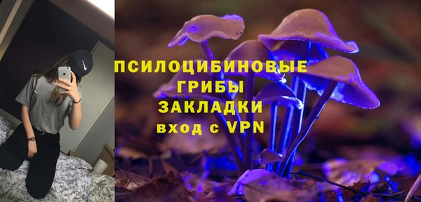 молекула духа Арсеньев