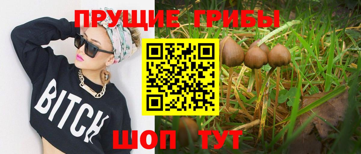Псилоцибиновые грибы GOLDEN TEACHER Дюртюли