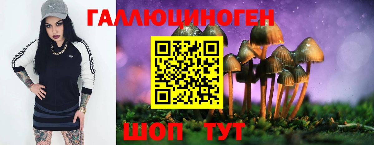 Псилоцибиновые грибы Cubensis  Вход с VPN  Дюртюли  Галлюциногенные грибы мухоморы 